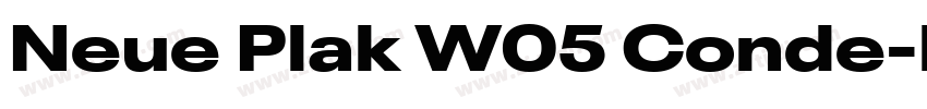 Neue Plak W05 Conde字体转换